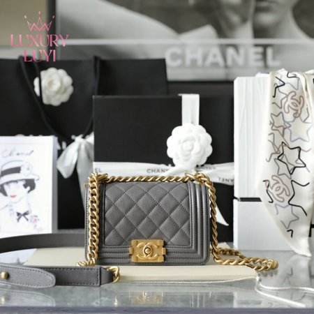 Chanel Classic Mini Leboy 15cm Bag