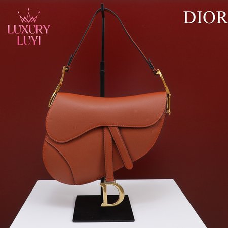 Dior Saddle M0446