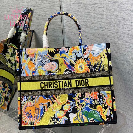 Dior Book Tote